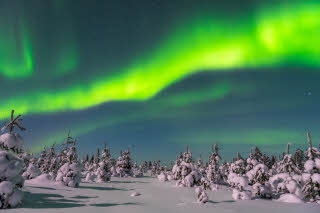 Foto: Ruka-Kuusamo Matkailu
Aku Kallunki Northern Lights during winter